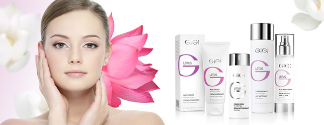 Lotus banner